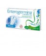 Enterogermina os 10 fl 2 mld/5 ml