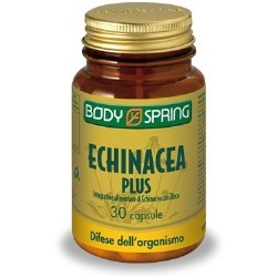 Body Spring Echinacea Plus 30 Capsule