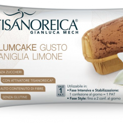 TISANOREICA PLUM-CAKE AL GUSTO VANIGLIA LIMONE 50g